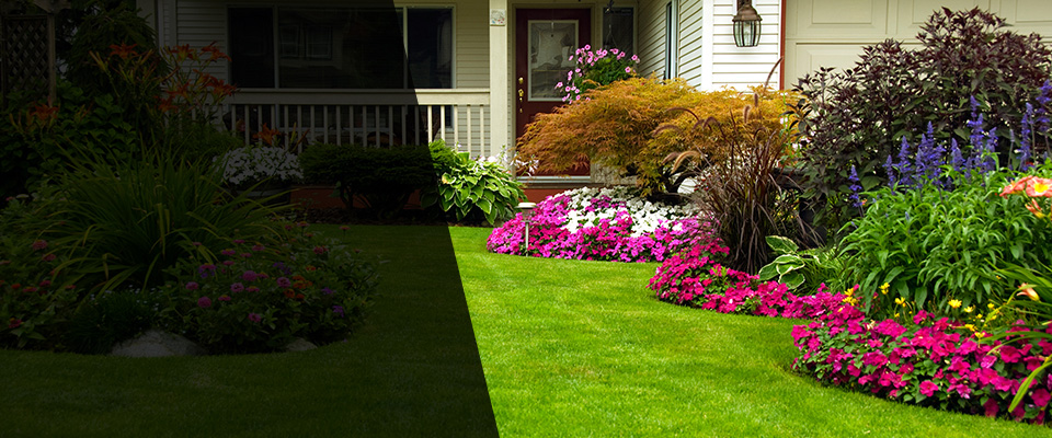 King George Landscapers