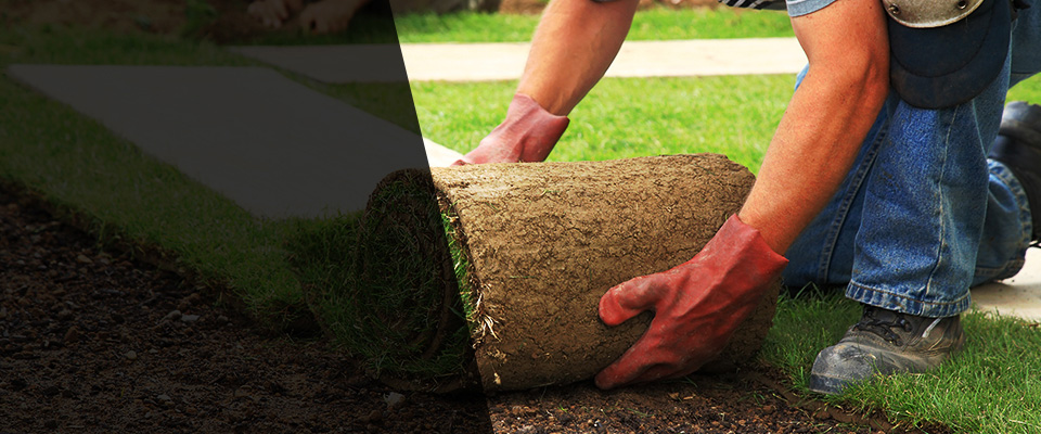 King George Landscapers